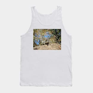 Rock squirrel (Otospermophilus variegatus) in Arizona, USA Tank Top